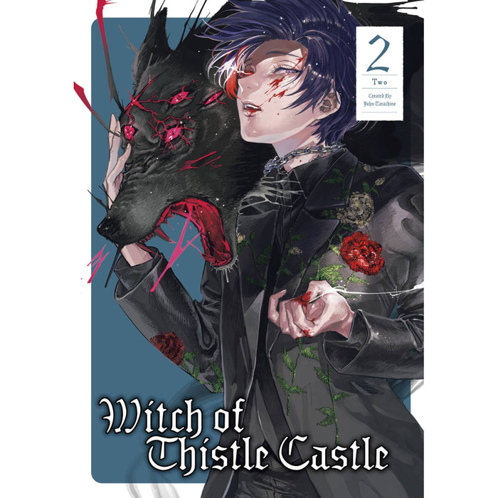 Witch of Thistle Castle GN Vol 02