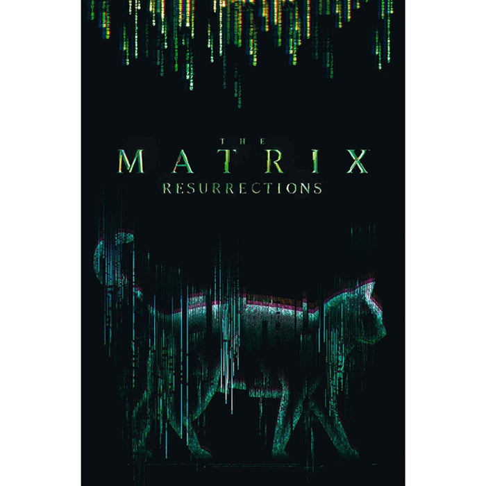 Poster Maxi The Matrix -91.5x61 - Cat