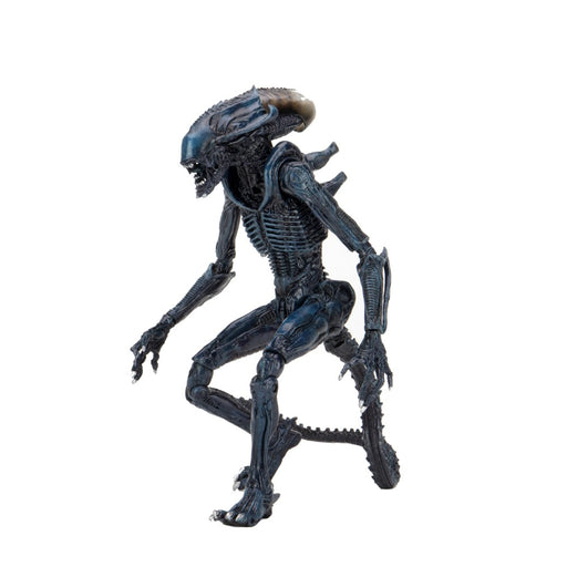 Figurina Articulata Alien vs Predator - 7 inch Scale - Arachnoid Alien (Movie Deco) - Red Goblin