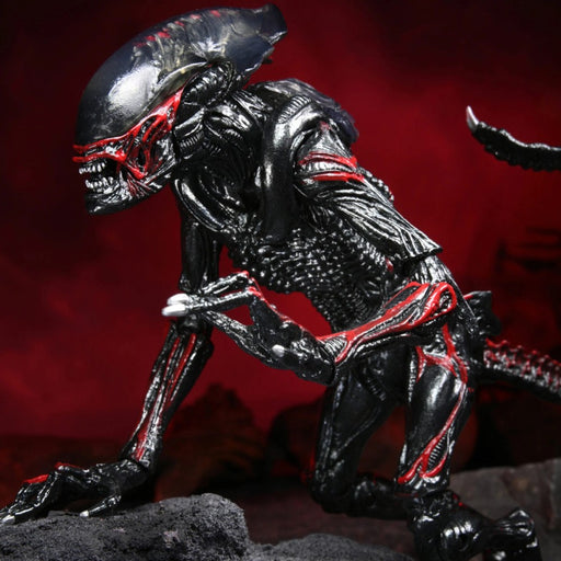 Figurina Articulata Aliens - 7 inch Scale - Kenner Tribute Night Cougar Alien - Red Goblin