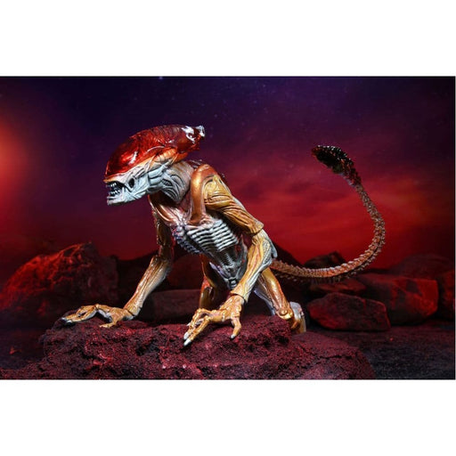 Figurina Articulata Aliens - 7 inch Scale - Kenner Tribute Panther Alien - Red Goblin