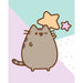 Canvas 20x25 cm Pusheen The Cat Stars - Red Goblin