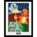 Poster cu Rama Pokemon - Starters - Red Goblin