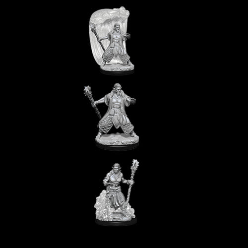 D&D Nolzur's Marvelous Unpainted Miniatures: Water Genasi Male Druid - Red Goblin