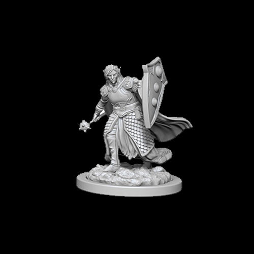 D&D Nolzur's Marvelous Unpainted Miniatures: Elf Male Cleric - Red Goblin