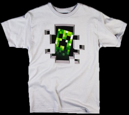 Minecraft Creeper Inside - Red Goblin