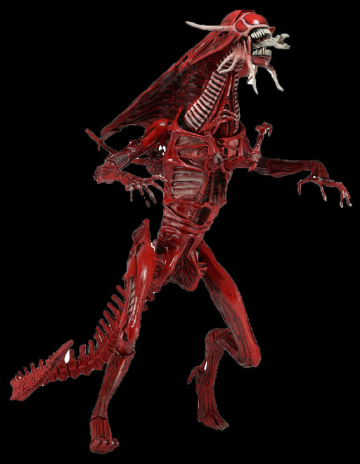 Aliens - Ultra Deluxe Action Figure Genocide Red Queen 38 cm - Red Goblin