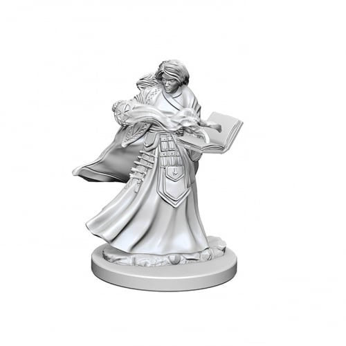 D&D Unpainted Miniatures: Human Female Wizard - Red Goblin