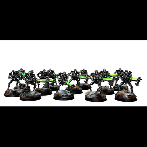 Warhammer: Necron Warriors with Canoptek Scarabs - Red Goblin