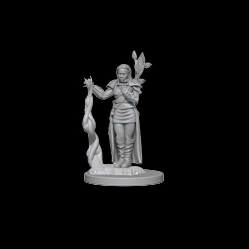 D&D Nolzur's Marvelous Unpainted Miniatures: Human Female Druid - Red Goblin