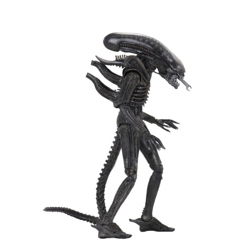 Figurina Articulata Alien Ultimate 40th Anniversary Big Chap 18cm - Red Goblin