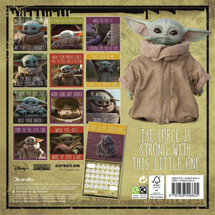 Mini Calendar Danilo Star Wars Baby Yoda - Red Goblin