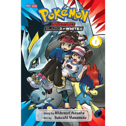 Pokemon Adv Black & White 2 GN Vol 01 - Red Goblin