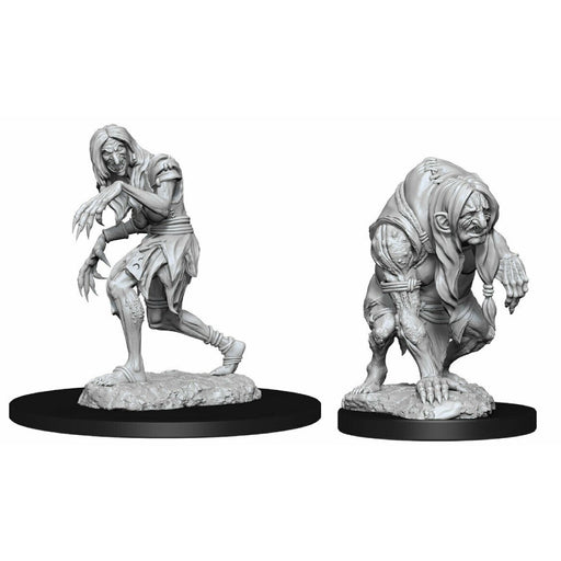 Miniaturi Nepictate Pathfinder - Annis Hag & Green Hag - Red Goblin